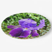 Bearded Iris Paper Bord (Gekanteld)