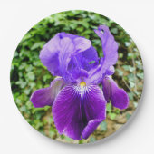 Bearded Iris Paper Bord (Voorkant)
