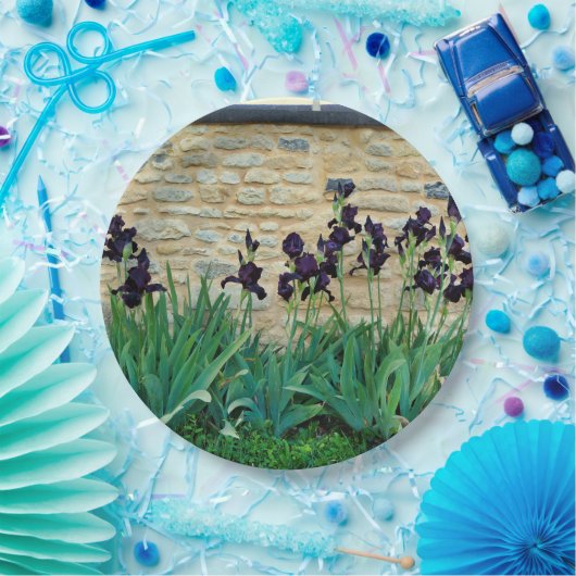 Bearded Iris Paper Bord (Feest)