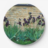 Bearded Iris Paper Bord (Voorkant)