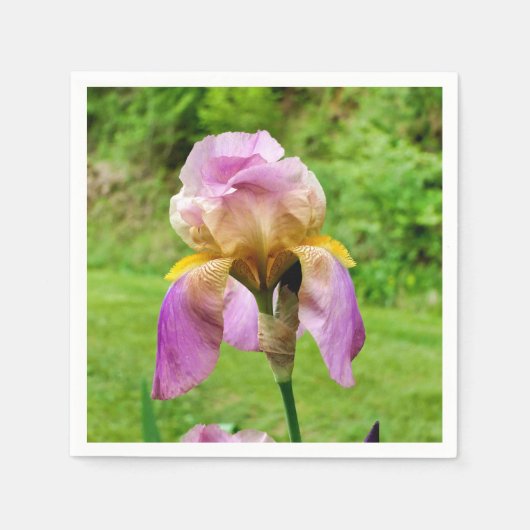 Bearded Iris Papieren servetten (Voorkant)