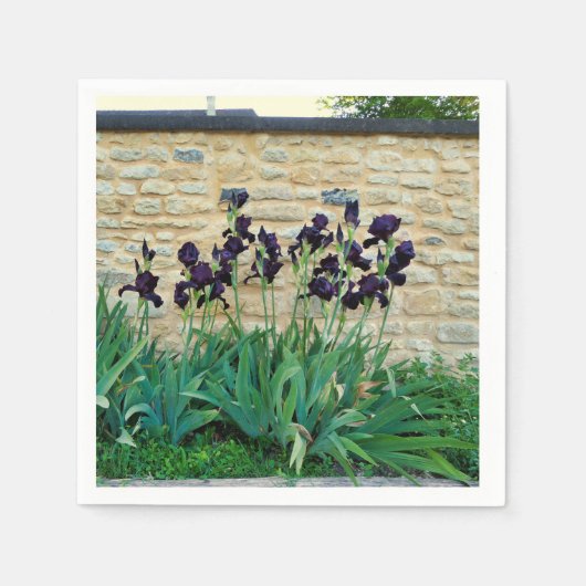 Bearded Iris Papieren servetten (Voorkant)