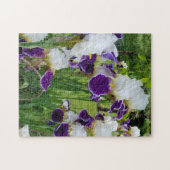 Bearded Irises Spring Flowers Legpuzzel (Horizontaal)