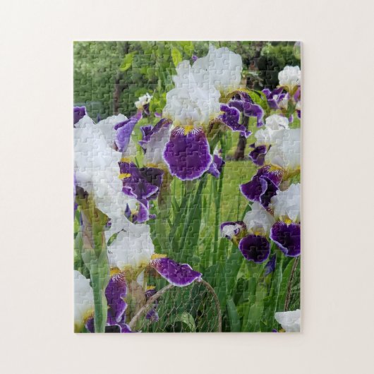 Bearded Irises Spring Flowers Legpuzzel (Verticaal)