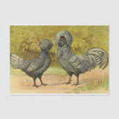 Bearded Silver Polish Hen en Rooster  Boerderij Tissuepapier (Voorkant)