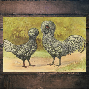 Bearded Silver Polish Hen en Rooster Boerderij Tissuepapier