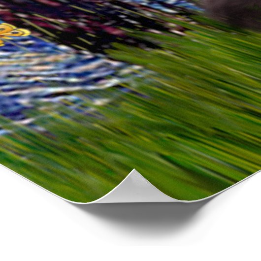 Beardie 2 - Sterrennacht Poster (Hoek)