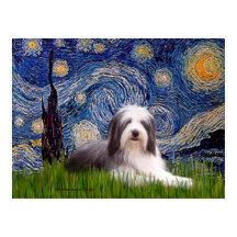 Beardie 2 - Sterrennacht