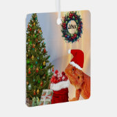 Beardie-Claus baardagaam Metalen Ornament (Voorkant Rechts)