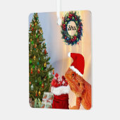 Beardie-Claus baardagaam Metalen Ornament (Voorkant links)