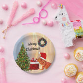 Beardie-Claus baardagaam Papieren Bordje (Feest)