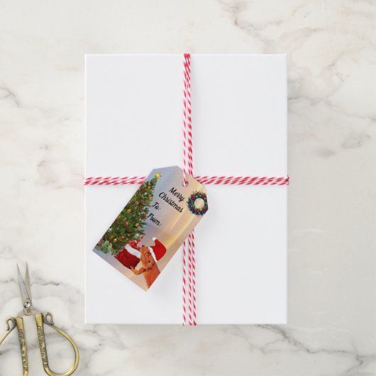 Beardie-Claus - Bearded Dragon Santa Cadeaulabel (Met Touw)