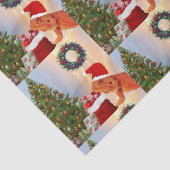 Beardie-Claus - Bearded Dragon Santa Tissuepapier (Detail)