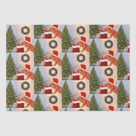 Beardie-Claus - Bearded Dragon Santa Tissuepapier (Voorkant)