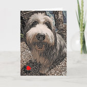 Beardie Happy Birthday Kaart (Voorkant)