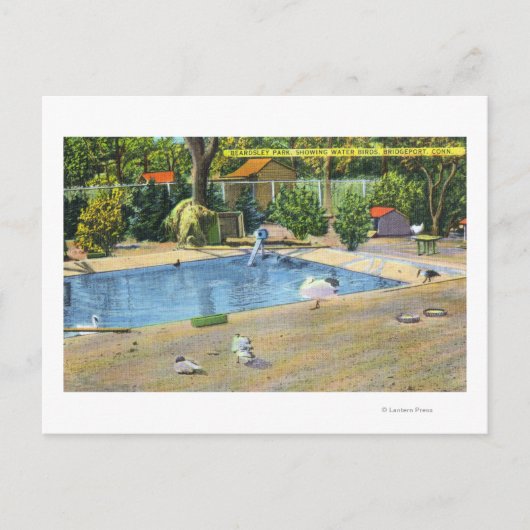 Beardsley Park Uitzicht watervogels Briefkaart (Voorkant)