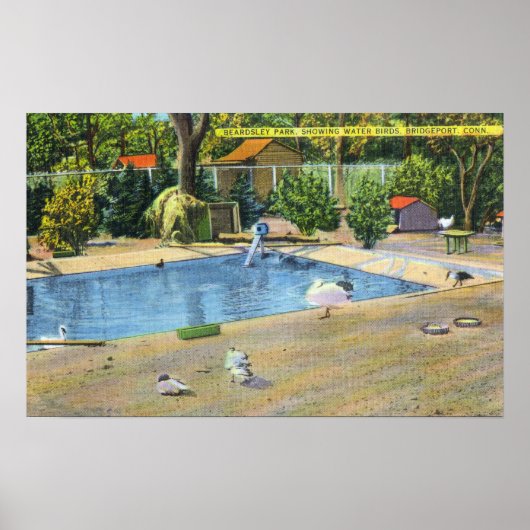 Beardsley Park Uitzicht watervogels Poster (Voorkant)