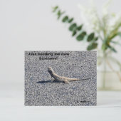 Beardy, terug uit NSW Briefkaart (Staand voorkant)