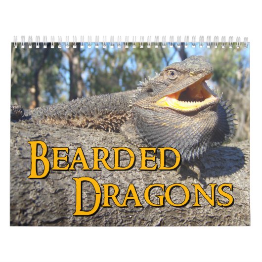 Beared Dragons Wall Agenda Kalender (Hoes)