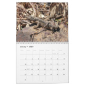Beared Dragons Wall Agenda Kalender (Jan 2027)