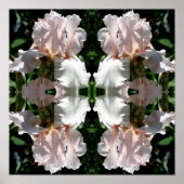 Beared Iris ventilator Sluiten Abstract Poster (Voorkant)