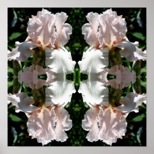 Beared Iris ventilator Sluiten Abstract Poster