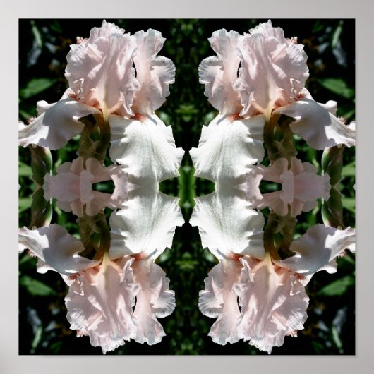 Beared Iris ventilator Sluiten Abstract Poster (Voorkant)