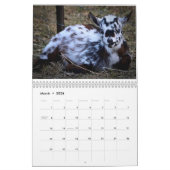 Beared Lady Boerderijen Agenda Kalender (Mar 2026)