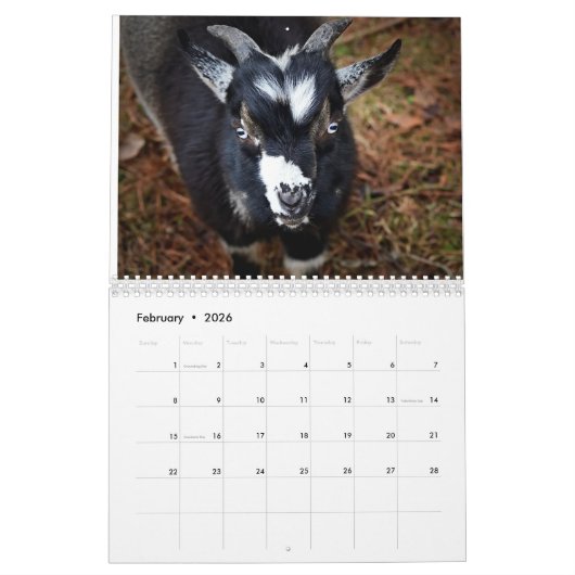 Beared Lady Boerderijen Agenda Kalender (Feb 2026)