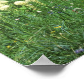 Beargras bij Eunice Lake, Mt. Rainier NP, WA, Poster (Hoek)