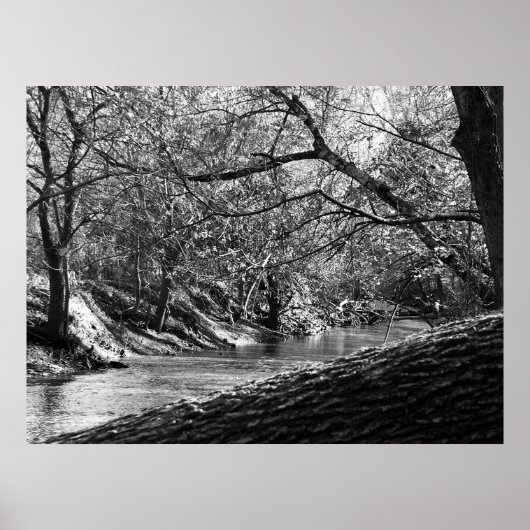Beargras Creek (zwart-witfoto afdrukken) Poster (Voorkant)