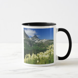 Beargrass bij Logan Pass in Gacier National Mok