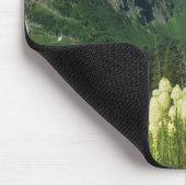 Beargrass bij Logan Pass in Gacier National Muismat (Hoek)