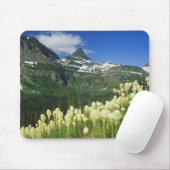 Beargrass bij Logan Pass in Gacier National Muismat (Met muis)