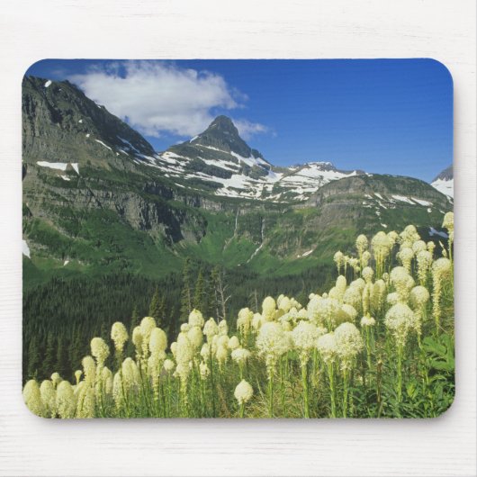 Beargrass bij Logan Pass in Gacier National Muismat (Voorkant)
