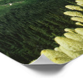 Beargrass bij Logan Pass in Gacier National Poster (Hoek)