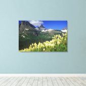 Beargrass bij Logan Pass in Glacier National Park Canvas Afdruk (Insitu (Houten vloer))