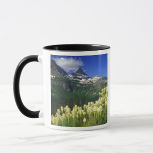 Beargrass bij Logan Pass in Glacier National Park Mok