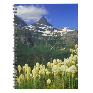 Beargrass bij Logan Pass in Glacier National Park Notitieboek