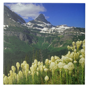 Beargrass bij Logan Pass in Glacier National Park Tegeltje