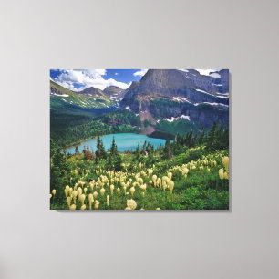 Beargrass boven Grinnell Lake in de Many Canvas Afdruk