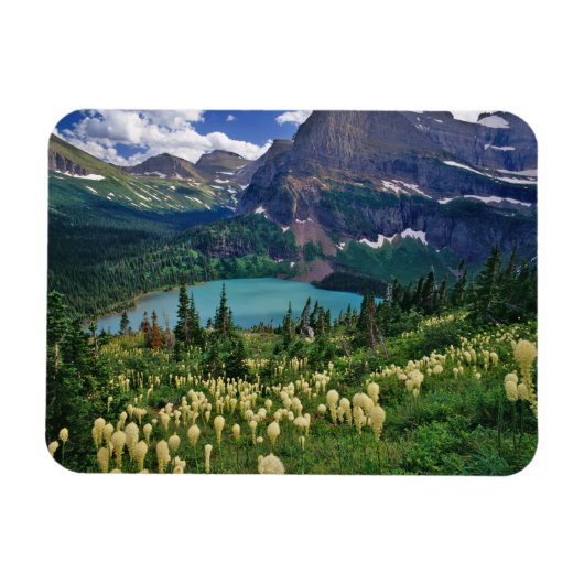 Beargrass boven Grinnell Lake in de Many Magneet (Horizontaal)