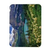 Beargrass boven Grinnell Lake in de Many Magneet (Verticaal)
