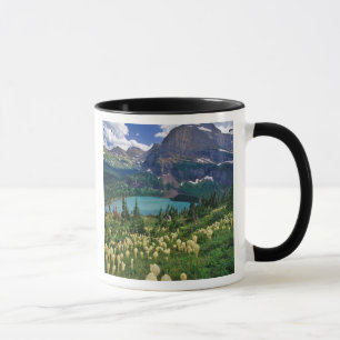 Beargrass boven Grinnell Lake in de Many Mok