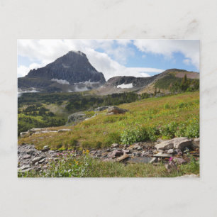 Bearhat Mountain en gletsjerrivier Briefkaart