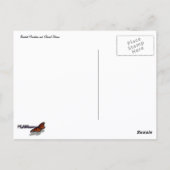 Bearhat Mountain en gletsjerrivier Briefkaart (Achterkant)