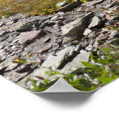 Bearhat Mountain en gletsjerrivier Poster (Hoek)