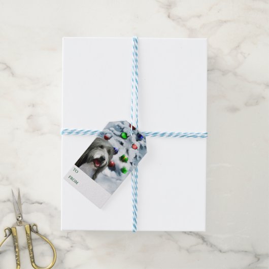 Bearing Collie Gift Labels Cadeaulabel (Met Touw)