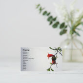 Bearing Fruits/profielkaart Visitekaartje (Staand voorkant)