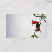 Bearing Fruits/profielkaart Visitekaartje (Achterkant)